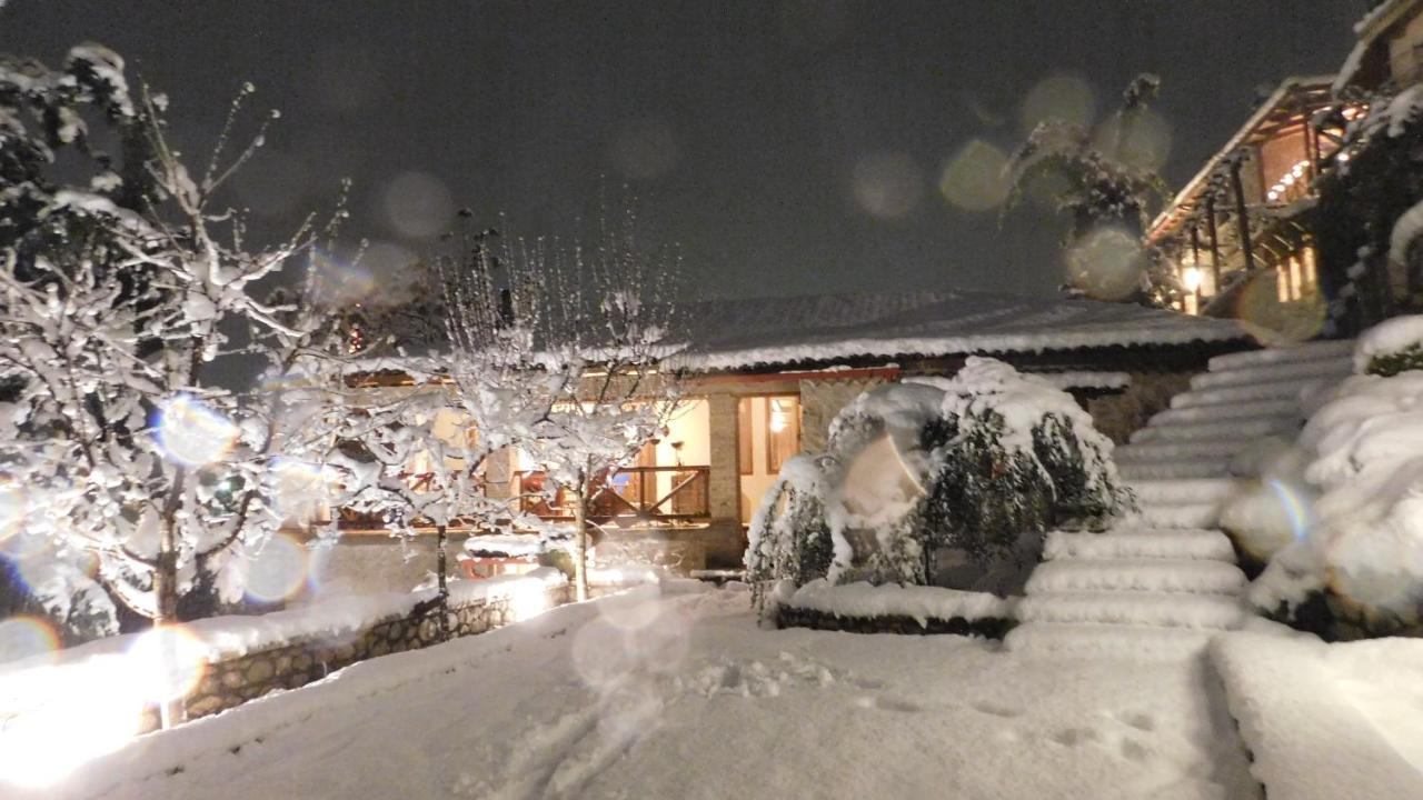Agoriani Art - 4 Seasons' Natural Living *